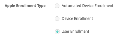 Apple 注册类型