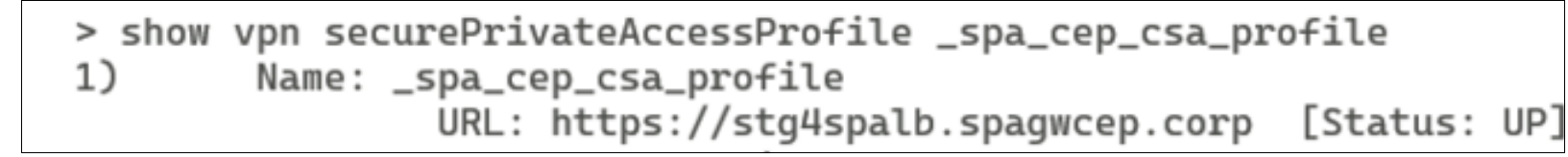 Secure Private Access profile