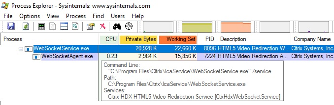 Servizio WebSocketAgent.exe