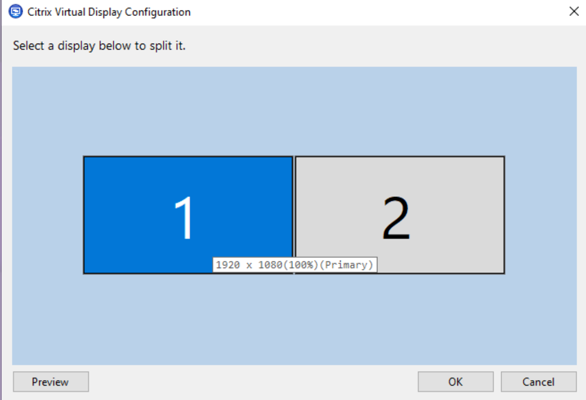 Virtual display monitor