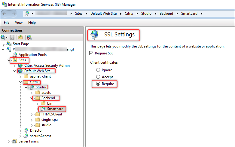 Se requiere una tarjeta inteligente en el backend de servidor IIS (SSL)