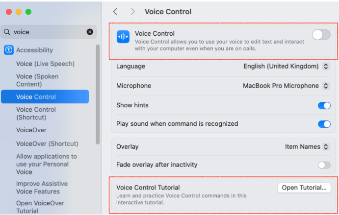 Voice Dictation