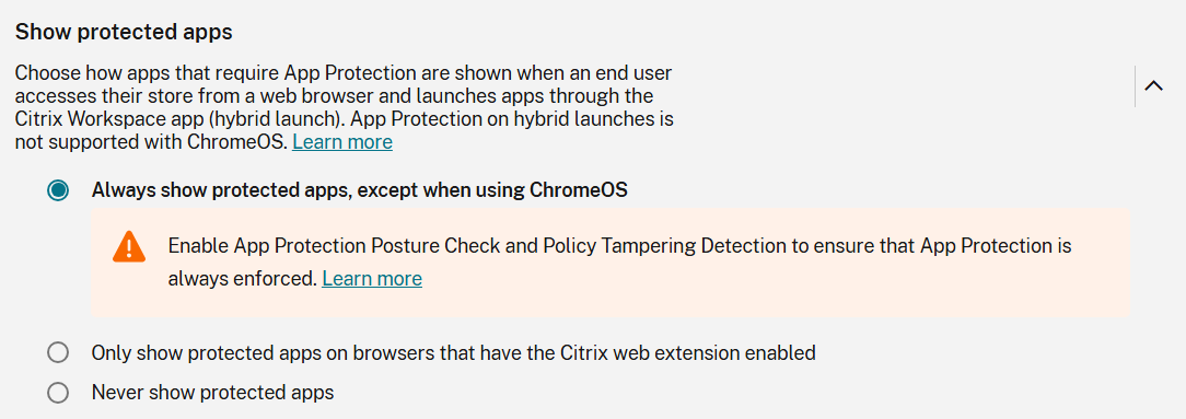 Screenshot of App protection settings