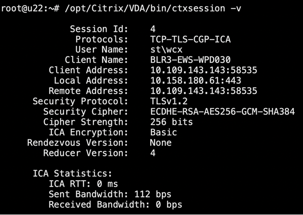 Query session metrics through **ctxsession**