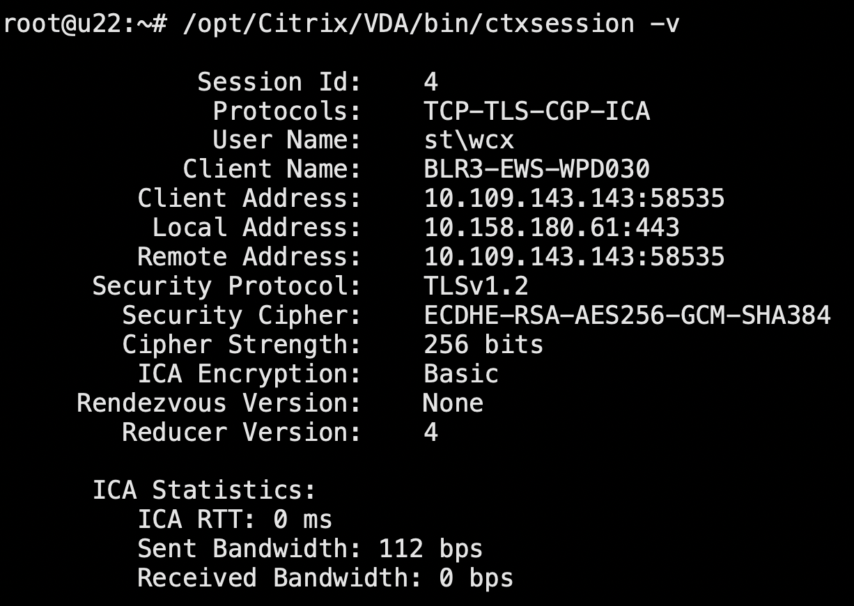 Consulta las métricas de la sesión a través de **ctxsession**