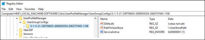 启用 Profile Management 的注册表中的结果