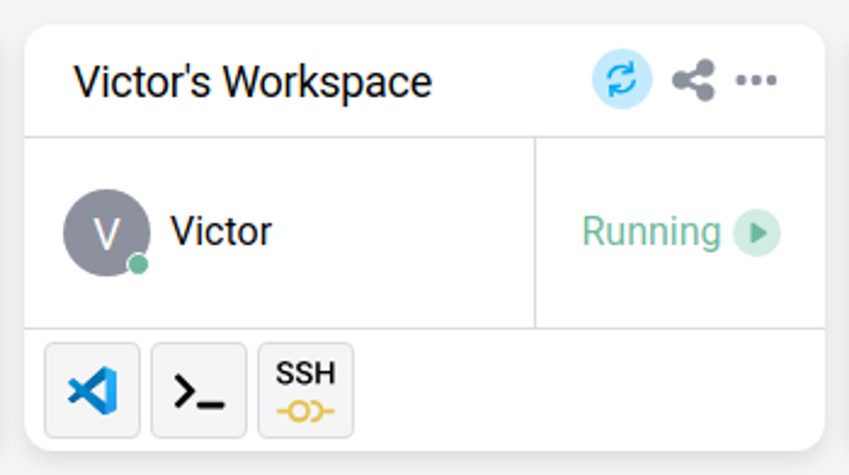 A workspace card showing the workspace name, owner, Running status, and the Cloud IDE, terminal, and SSH access buttons