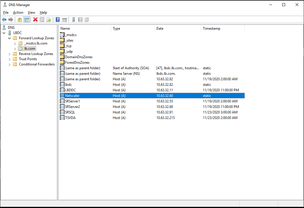 Crear un registro de host para la dirección IP virtual de Citrix ADC