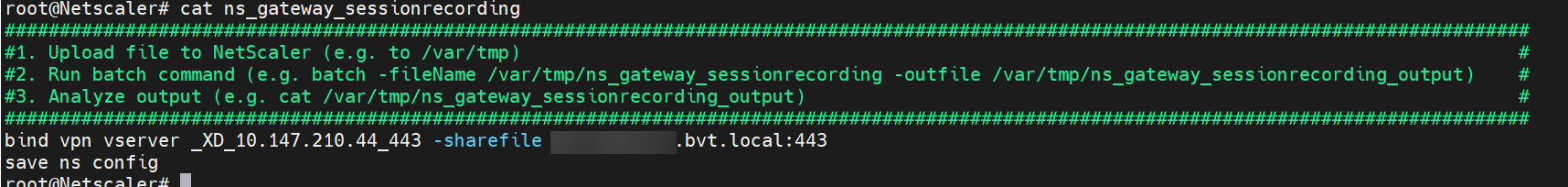 Use the cat command to review NetScaler command parameters