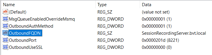 VDA 上的 Session Recording 消息队列注册表项值