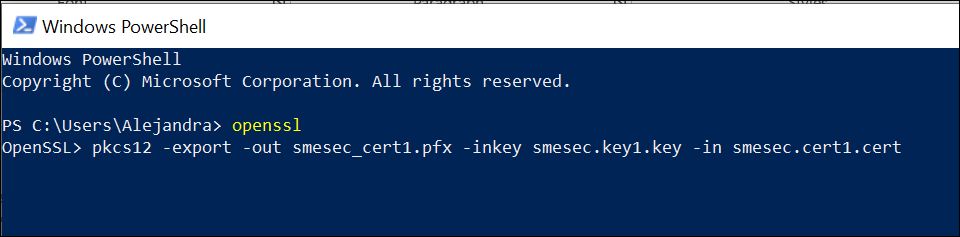 PowerShell スクリーンショット