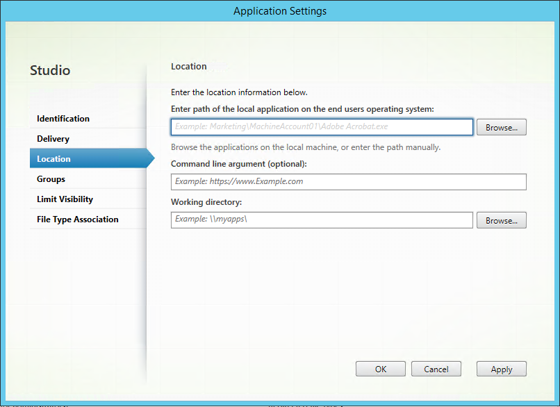 Citrix Studio application settings